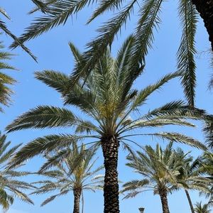 Meet your Posher, Jodi